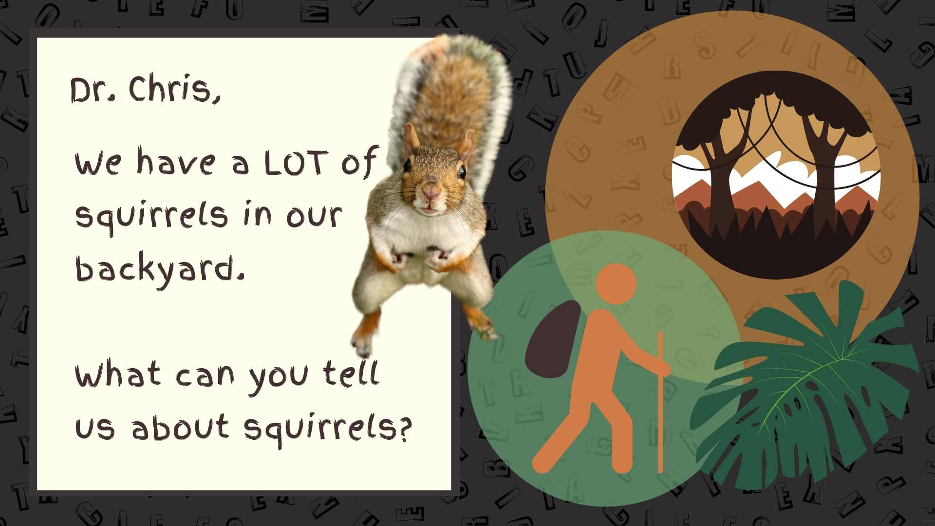 squirrel facts for kids