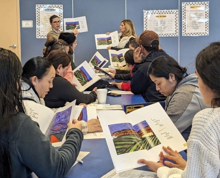 librarians guide to reading Kelly Martino tracy california