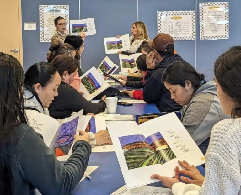 librarians guide to reading Kelly Martino tracy california